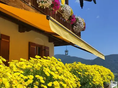 Blütenpracht am Bauernhaus mit 3 Ferienwohnungen (Alpenpanorama, Puppenstübchen, Talblick) am Obersteinberg-Hof Ruhpolding