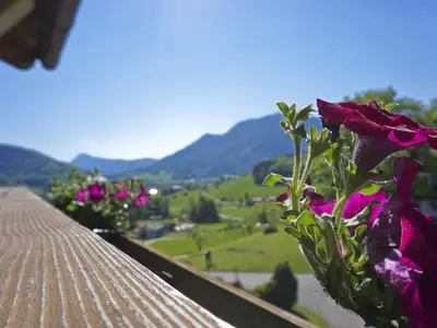 Blick vom Balkon mit Blumenpracht