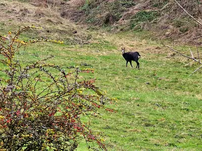 Ein Gast der besonderen Art