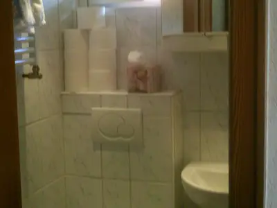 Duschbad Ferienwohnung Rauschberg