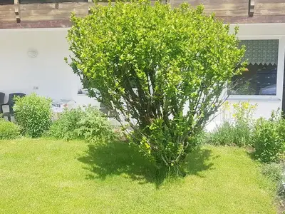 Ferienwohnung für 2 Personen (58 m²) in Rum Bei Innsbruck 3/10