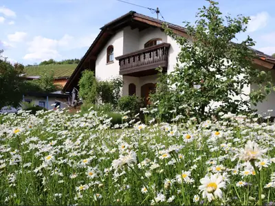 Haus von vorne 1
