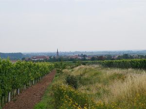 19748351-Ferienwohnung-4-Ruppertsberg-300x225-4