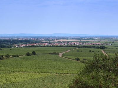 Panorama Ruppertsberg