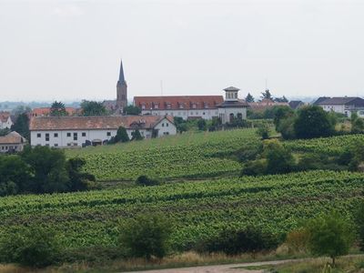 Weinlage Hoheburg