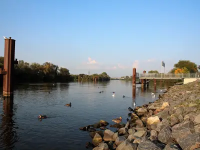 Ferienwohnung für 4 Personen (64 m²) in Rüsselsheim 6/10