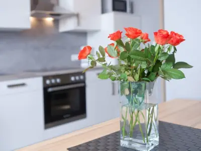 Ferienwohnung für 5 Personen (51 m²) in Rust 7/10