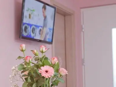 Ferienwohnung für 6 Personen (58 m²) in Rust 8/10