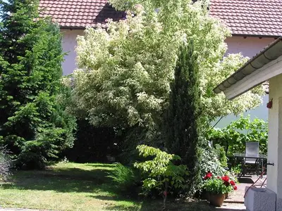 Ferienwohnung für 4 Personen (35 m²) in Rust 10/10