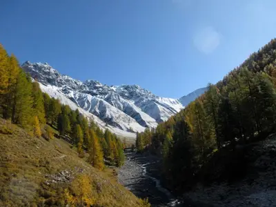 Val Truptschun im Schweiz. Nationalpark