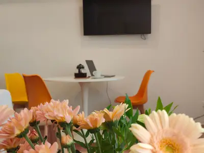 TV / Multimedia