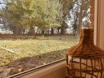 Gartenblick