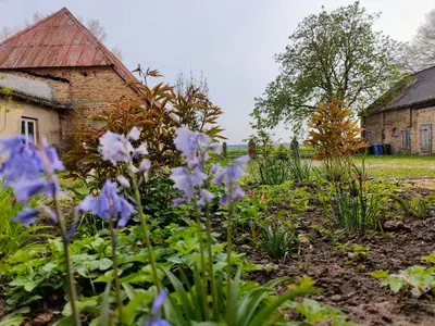 Gartenblick