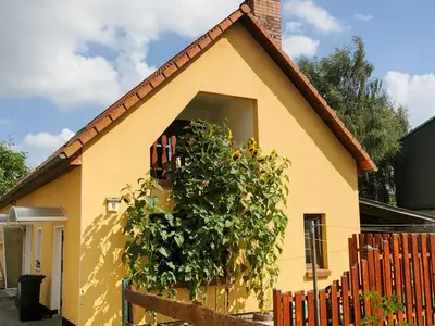 Ferienwohnung für 5 Personen (50 m²) in Saal 2/10