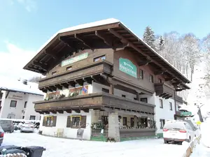 Ferienwohnung für 4 Personen (74 m²) in Saalbach-Hinterglemm
