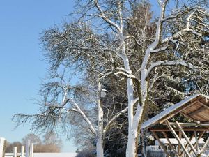 22019115-Ferienwohnung-5-Saalburg-Ebersdorf-300x225-3