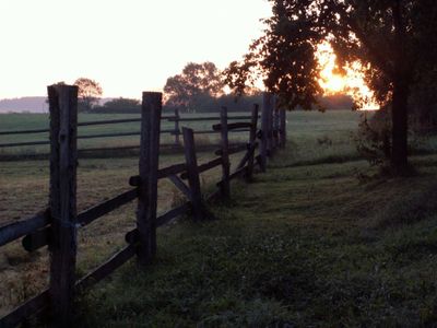 Sonnenaufgang an der Koppel