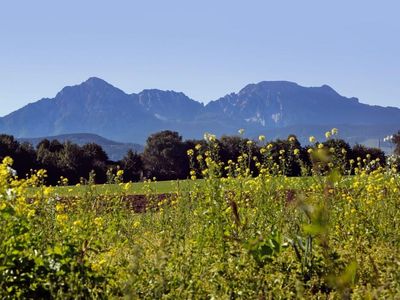 Bergpanorama Hochstaufen und Zwiesel