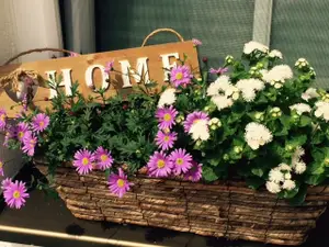 Ferienwohnung für 3 Personen (45 m²) in Saaldorf-Surheim