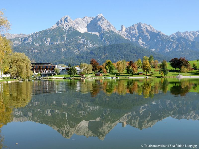 23856545-Ferienwohnung-4-Saalfelden am Steinernen Meer-800x600-2