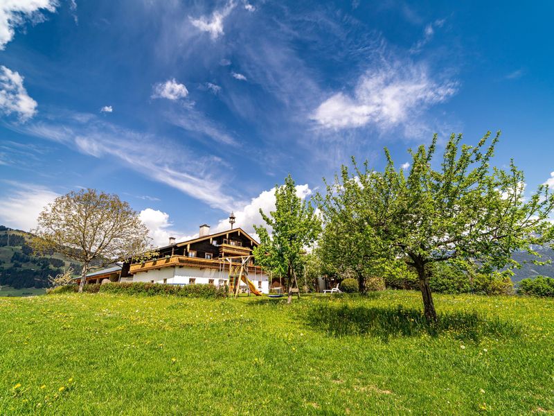 18931026-Ferienwohnung-4-Saalfelden am Steinernen Meer-800x600-0