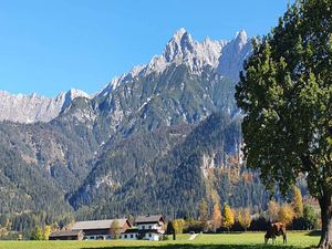 23518378-Ferienwohnung-6-Saalfelden am Steinernen Meer-300x225-2