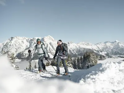 AreaWinter20KM