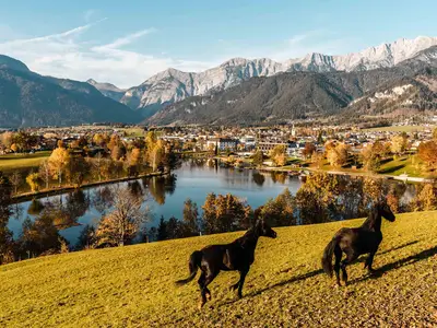 Herbst2019_Ritzensee_19_MichaelGeißler