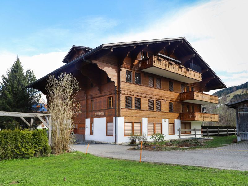 23856947-Ferienwohnung-12-Saanen-800x600-0