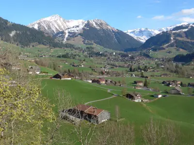 Aussicht (2)
