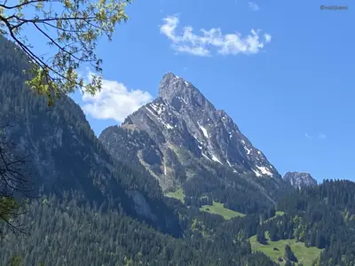 Ausblick (1)