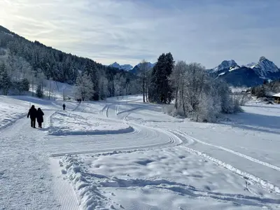 Spazierweg und Langlauf  direkt beim Chalet
