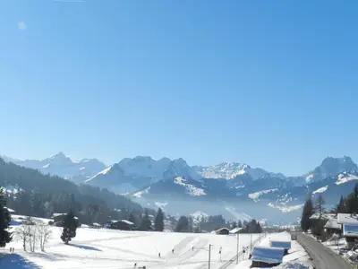 Aussicht Richtung Schönried (2)
