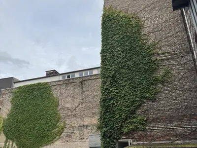 Hinterhaus - Garage