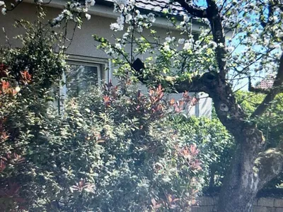 Ferienwohnung Am alten Apfelbaum (10)