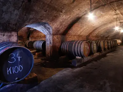 Ferienwohnungen Dr. Wagner Saarburg (04)