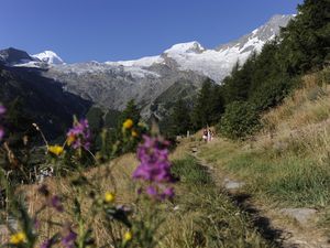 23268373-Ferienwohnung-4-Saas-Fee-300x225-4