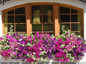 Ferienwohnung für 2 Personen in Saas-Fee