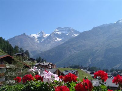Sommerflor mit Bergpanorama vom Alpenfirn