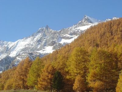 10.1 Wald und Mischabelgruppe