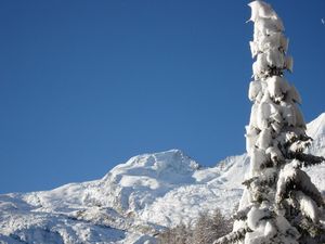 23647759-Ferienwohnung-3-Saas-Fee-300x225-4