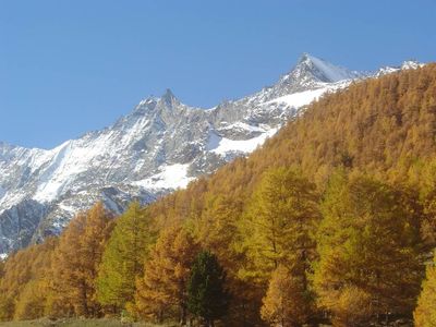  Wald und Mischabelgruppe