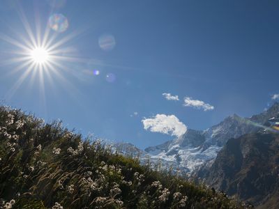 haus_am_biel_saas_fee_bergwelt14