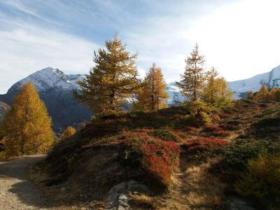 Saas-Fee_automne01