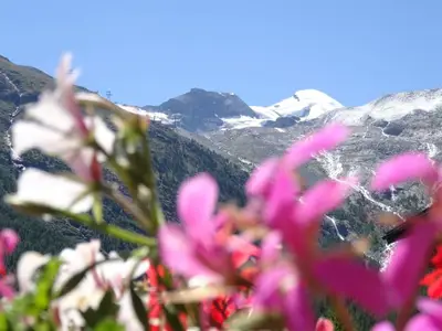 DSC07883