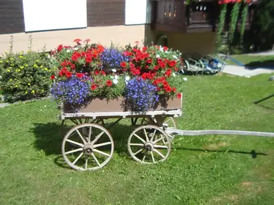 DSC02022