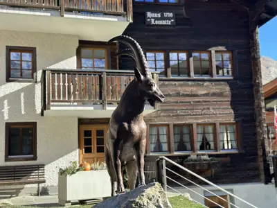 Capra