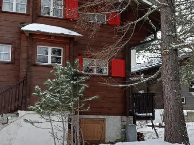 Winter Back Garden 