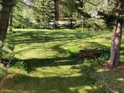 Summer Front Garden 2
