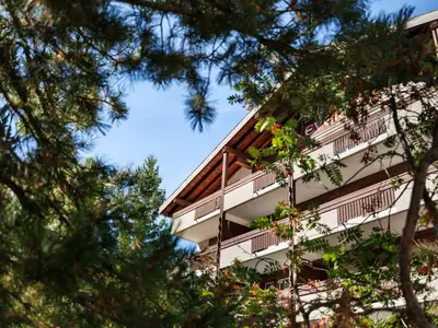 everestp-1081 (Large)